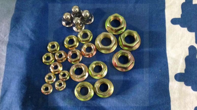 M6 M8 M10 M12 7/16 Yellow Zp Flange Nut in Different Grade