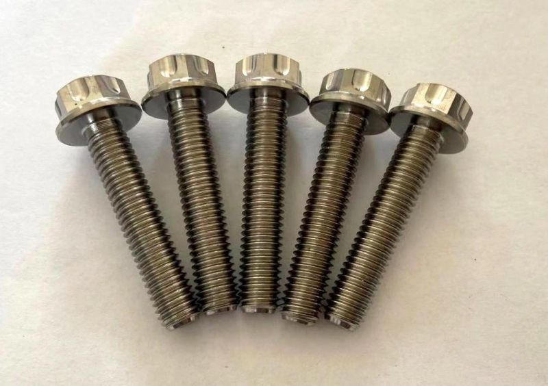 Titanium Alloy M6 M8 M12 M14 Bolt Screws Nut