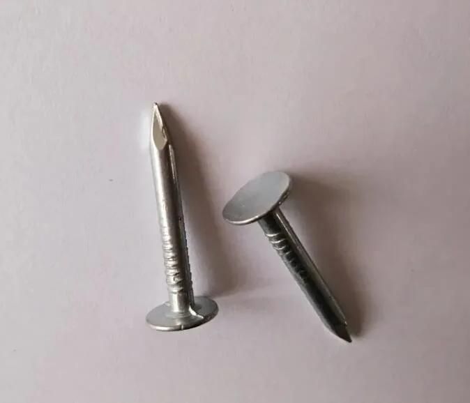 Clavos, Roofing Nail, Roofing Nails China Factory