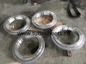 Customized Forged Stainless Steel Flange