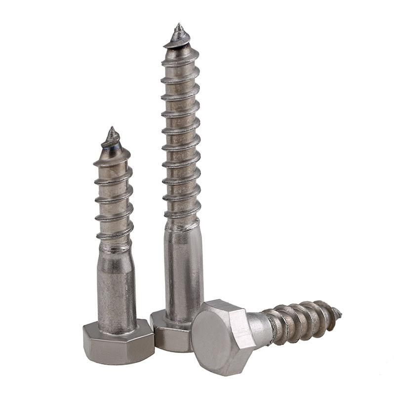 Stainless Steel Hex Head Lag Screws