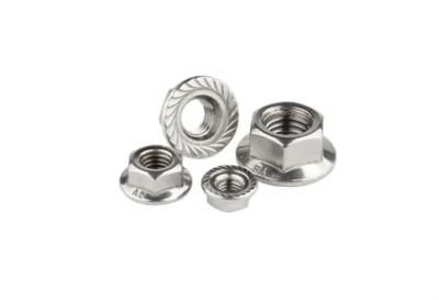 DIN 6926 Hexagon Flange Nut in Stainless Steel and Titanium Fasteners M10 Ta2