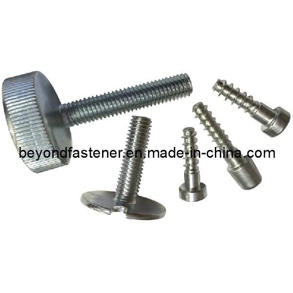 Terminal Cover Screw Manufacturer