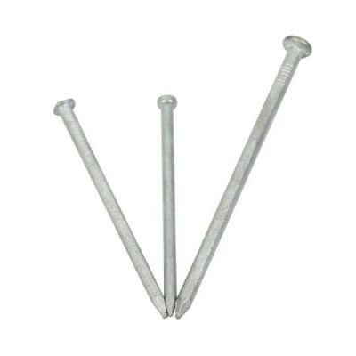 Q195 Galvanized Common Nail with High Quality