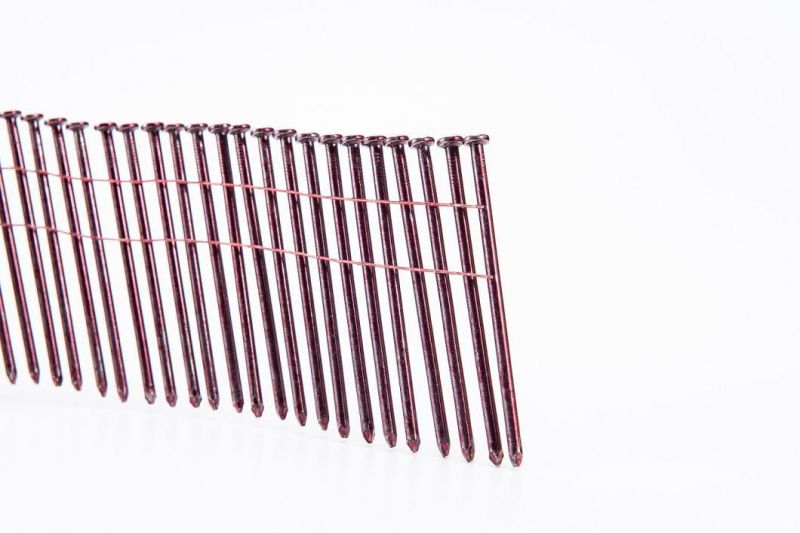 Good Quality 16 Degree Screw Ring Smooth Shank Coil Nails for Woodwork