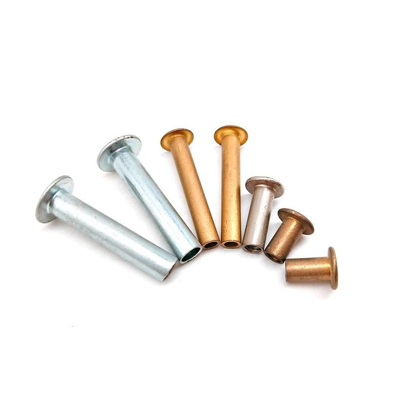 Made in China Hollow Semi-Hollow Stainless Steel Tubular Rivet