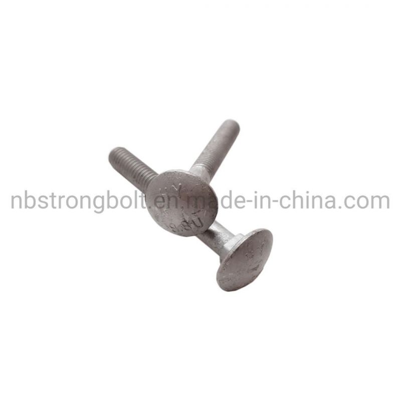 DIN603 Carriage Bolt with HDG