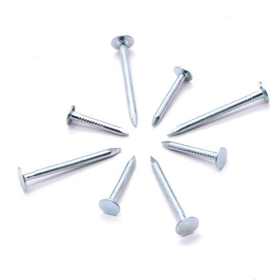 High Quality Harden Electric Galvanized Clout Nail