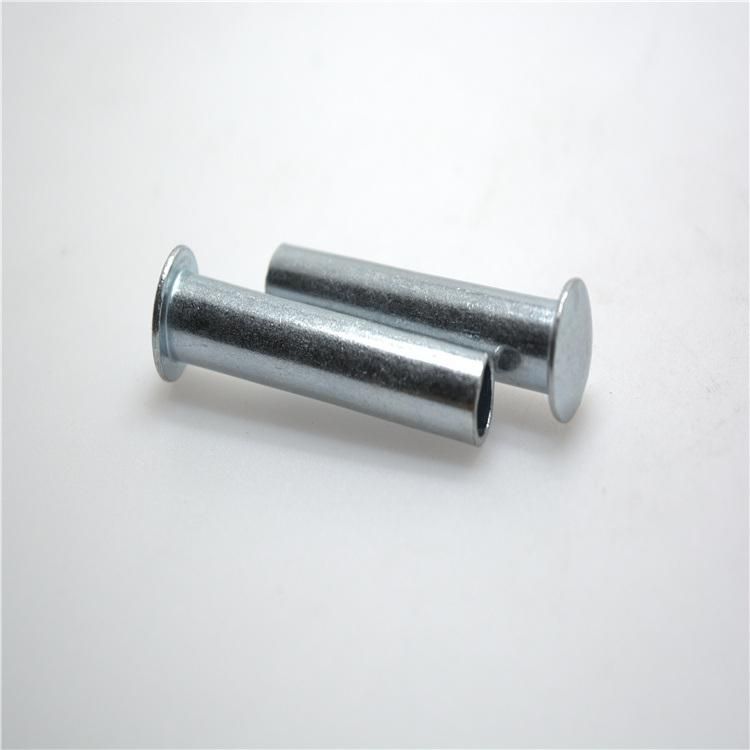 High Quality Standard Fastener Customized Rivet