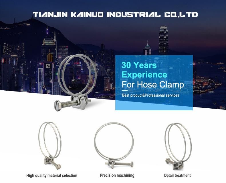 High Quality Pretty Tension Adjustable 304ss Stainless Steel Double Wires Hose Clamp Steel Pipe Clamp Bolt Clamp, 47-52mm