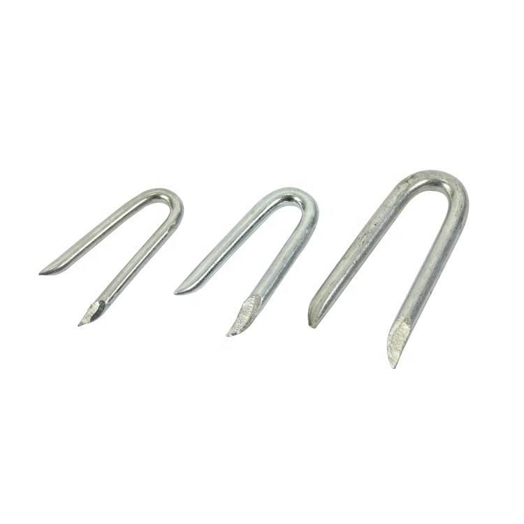 Export Standard Barbed U Shape Iron Wire Nail Common Diamond Sharp U Type Nail