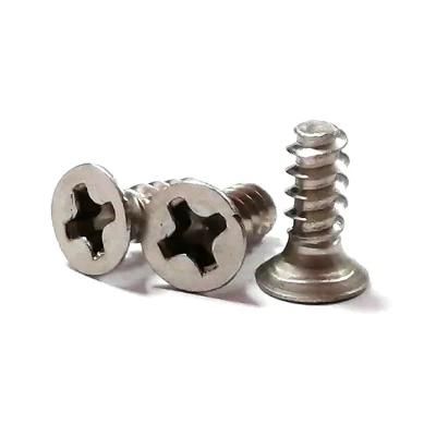 Stainless Steel 304 316 Countersunk Phillips Flat Head Self-Tapping Screws