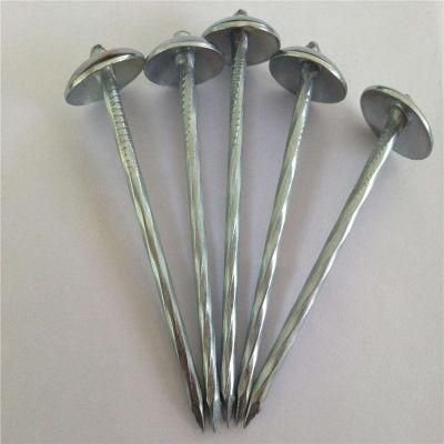 Supply of High Quality Galvanized Corrugated Nails Like Hot Custom Corrugated Nails