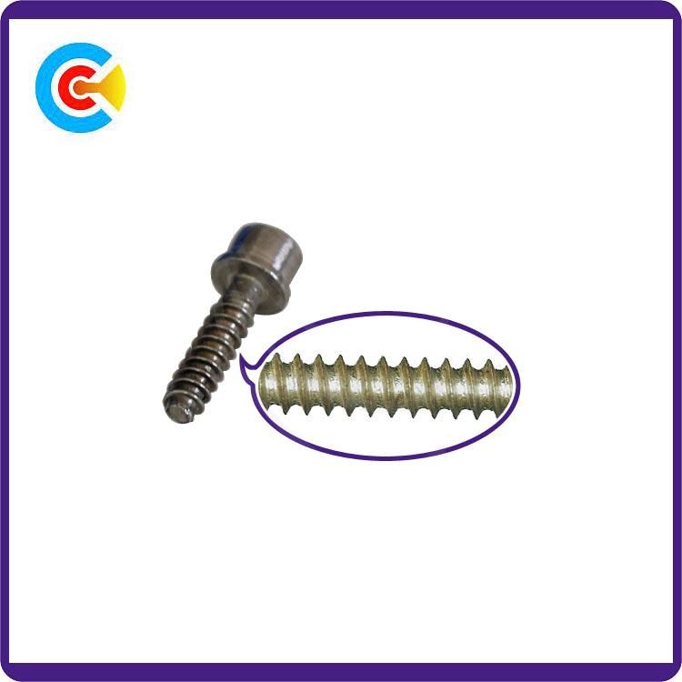 DIN/ANSI/BS/JIS Carbon-Steel/Stainless-Steel 4.8/8.8/10.9 Galvanized Hexagon Socket with Internal Tapping Screw