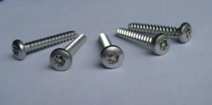 Lock Screw High Quality Carbon Steel Home Appliance ,Screws and Fasteners (HT1303)