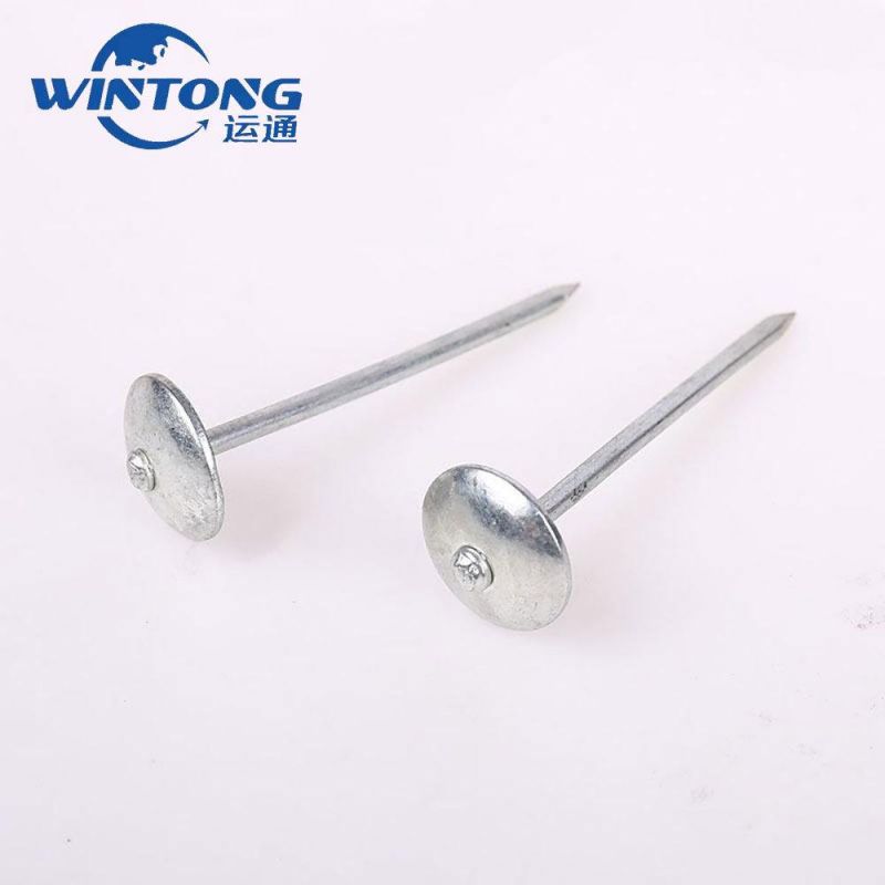 Roofing Nails/Umbrella Head Nails/Smooth or Twist Shank