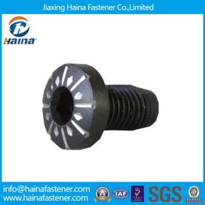 Non-Standard Black Machine Screw as Drawing/ Requirements