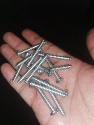 Congo Zambia Guinea Angola Ethiopia Market/Self-Tapping Screw