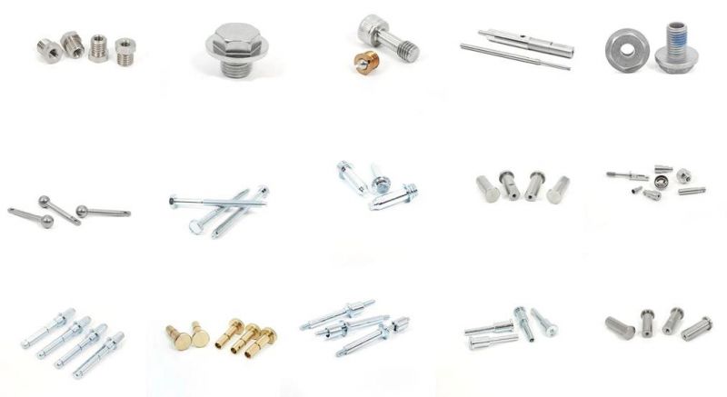 Stainless Steel Torx Drive Round Head Screw Pan Head Screw with Pin