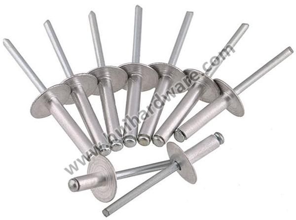 China Fastener 316 Stainless Steel Blind Rivet Pop Rivets