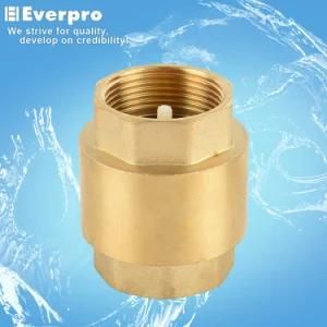 Check Valve/Brass Fitting (RB-ST12)