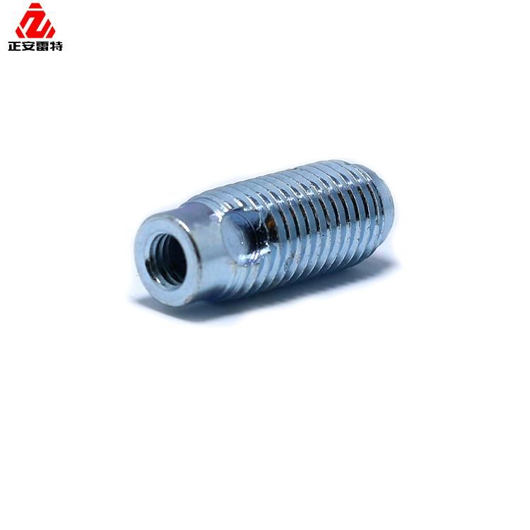 Customized Fastener Galvanized Steel Hollow Bolt Carriage Bolt Door Bolt