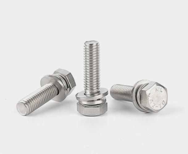 High Quality Stainless Steel 304 or A2-70 Material Hex Nuts a Flat Washer Spring Washer and Hex Head Bolt