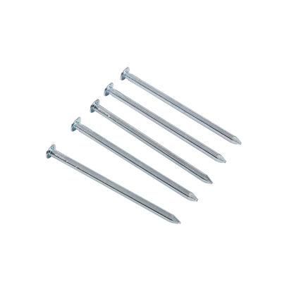 Singapore Market/China Wholesale Zinc Galvanized Steel Square Shank Boat Nails