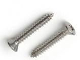 Pozi Raised Csk Head Self Tapping Screw (SUS316)