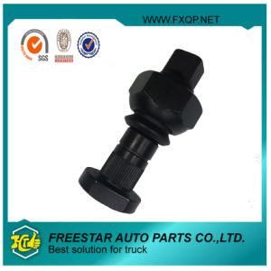 Fxd Simple Design Rust Proof Designer Screws and Bolts for Truck
