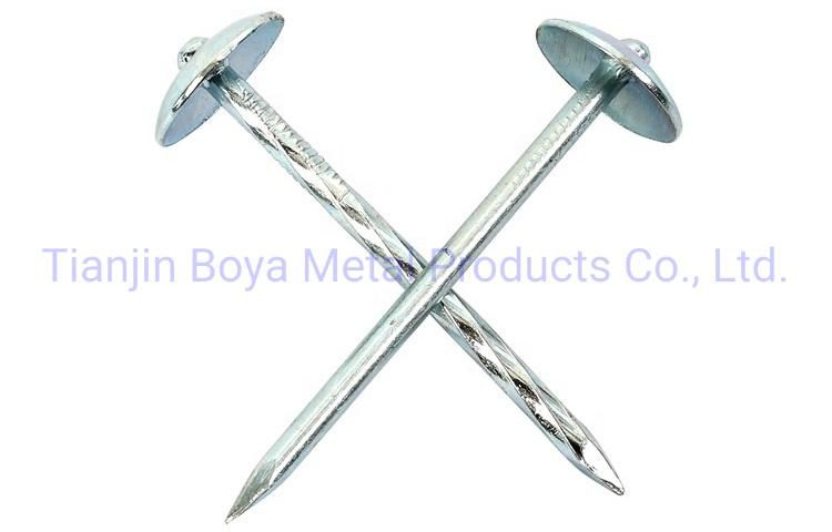 Factory Price Galvanized Umbrealla Head Roofing Nails Good Quality