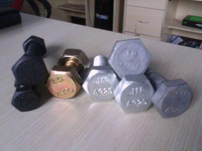 7/8&prime;&prime;*3 &prime;&prime; ASTM F3125 A325 A490 A325tc A490tc, A490m High Strength Heavy Hex Structural Bolt