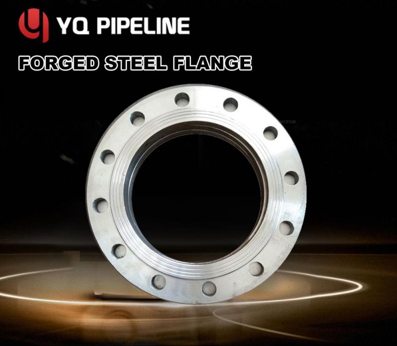 Hot Dipped Galvanized Surface Welding Neck Flanges