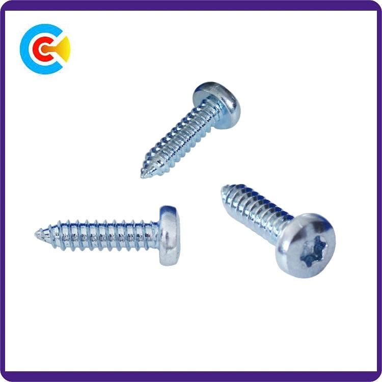 Stainless Steel 304/316 DIN7981 DIN7982 Phillips Self-Tapping Machine Screws