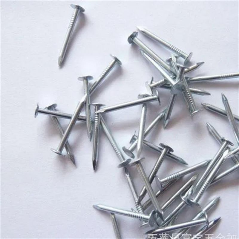 Customizable Polished Linoleum Nail with Large Cap Nails