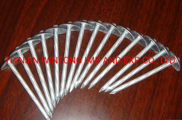 High Strength Concrete Steel Nail/High Hardness 55# Concrete Nail