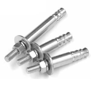 Stainless Steel Mechanical Anchor Bolt Chemical Anchor Bolt Heavy M12 Single Pipe Double Pipe Self Undercut 304