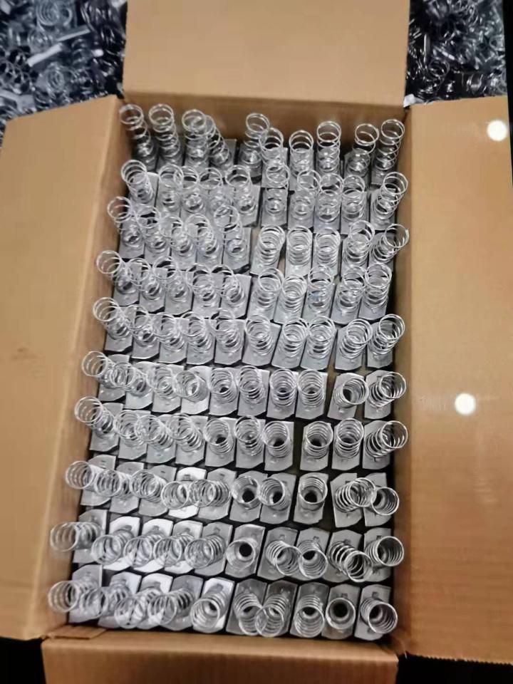 Electro Galvanized Spring Nut for C Channel