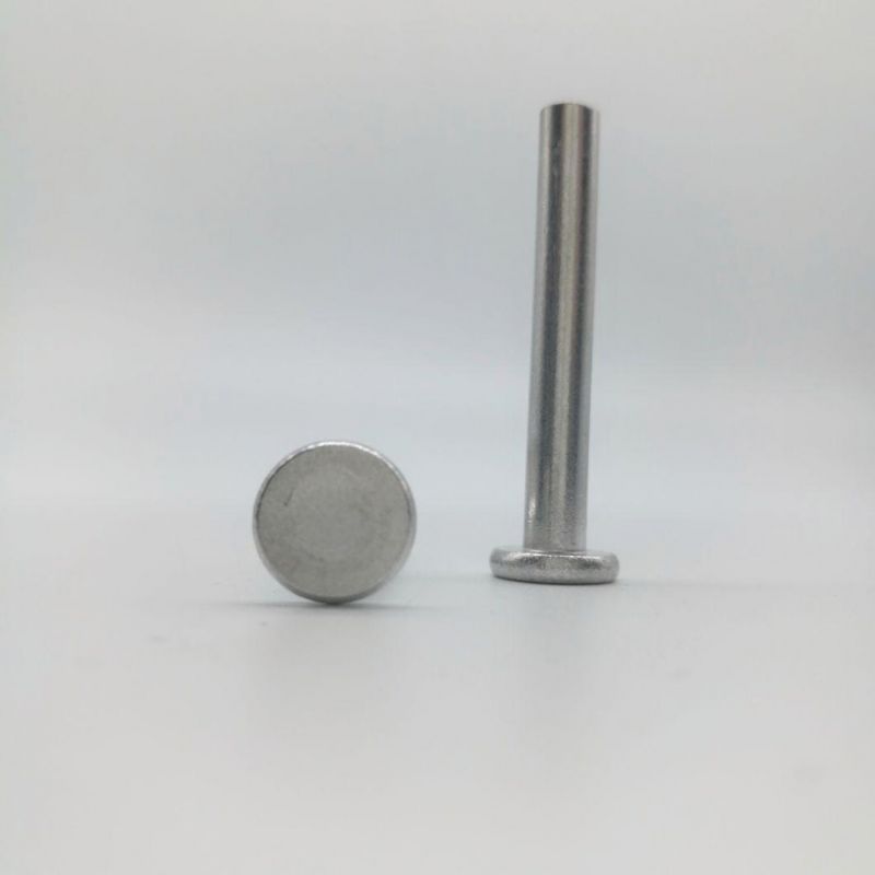 Ppap Level 3 Galvanized Flat Head Solid Rivets