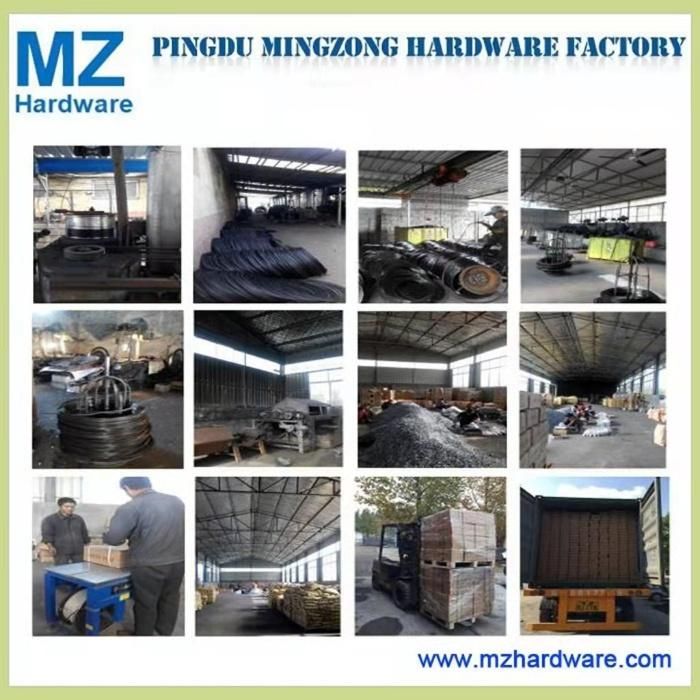 Competitive Price Galvanized Steel Nail Truss Nail Plate