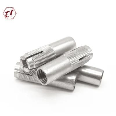 Common Bolt 316 Stainless Steel Ss A4 Expansion Drop in Anchor