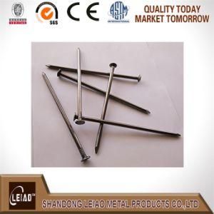 Iron Nail, Common Iron Wire Nail