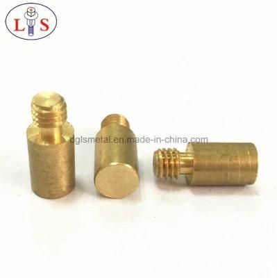 Fastener/ Customized Screw/Special Screw /Screw