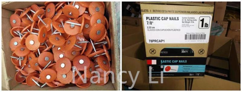 12g X 1inch Electro Galvanized Plastic Cap Roofing Nail, 3000m/Pail