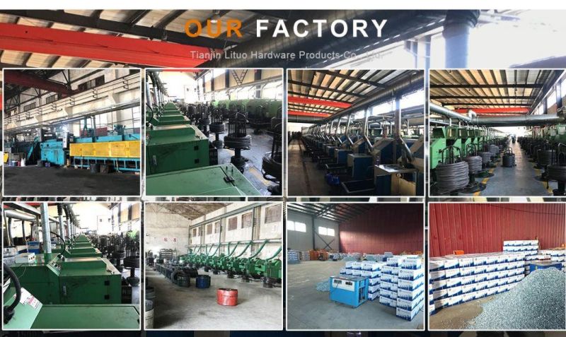 Good Quality Truss Head Self Drilling Screws