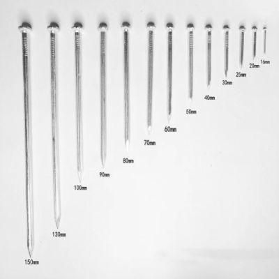 1/2&quot;-6&quot; E. G Concrete Nails/Steel Nails /Hard Nails/ Masonry Nails