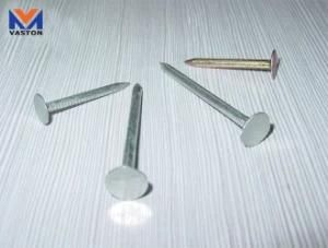 Roofing Nail of Galvanized/ Hot Galvanized/ Color Plating