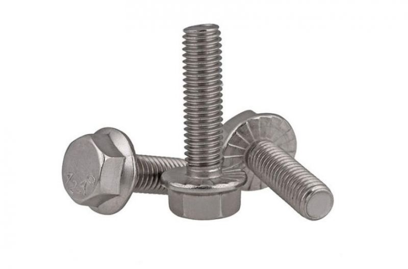 Hexagon Flange Screw Stainless Steel and Titanium