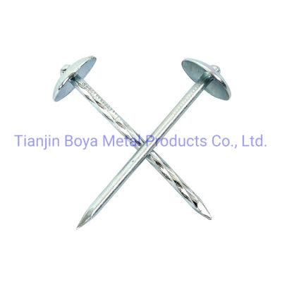 Galvanized Smooth Shank Roofing Nails with Umbrella Head