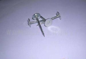 Building Material Common Steel Nails